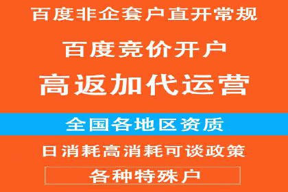 竞价广告赚钱攻略：百度平台实战案例